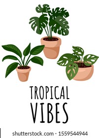 Tropical vibes postcard. Potted succulent plants flyer. Cozy lagom scandinavian style banner