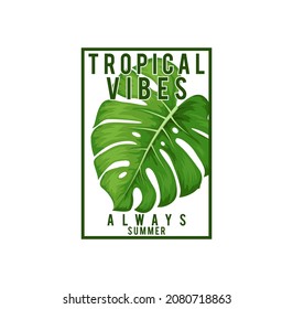 Tropical Vibes,Always summer,typography graphic design, for t-shirt prints, vector illustration