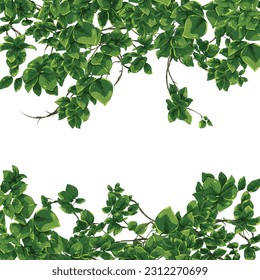 tropical vine green leaf vector illustration for beautiful design