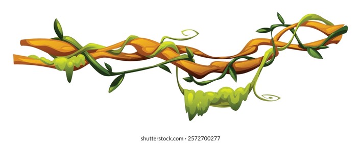 Tropical vine plants with curled tendrils on liana branches. Vector cartoon illustration