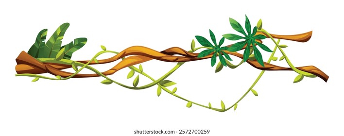 Tropical vine plants with lush leaves curling along liana branches. Vector cartoon illustration