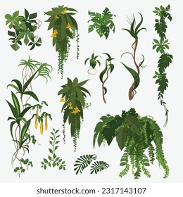 Vinos tropicales vectores de vegetación aislados en blanco
