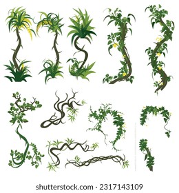 Tropical vines vegetation vector set isolated on white
