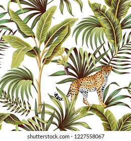 Tropical vintage banana tree, leopard floral green palm leaves seamless pattern white background. Exotic jungle wallpaper.