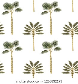 Tropical vintage botanical green palm tree floral seamless pattern white background. Exotic jungle wallpaper.