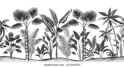 Tropical vintage botanical landscape - palm tree, banana tree floral seamless pattern white background. Exotic black and white jungle wallpaper.