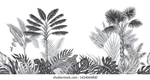 Tropical Vintage Botanical Landscape, Palm Tree, Banana Tree, Plant Floral Black And White Seamless Border White Background. Exotic Jungle Wallpaper.