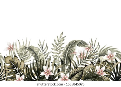 Tropical Vintage Botanical Palm Leaves, Banana Leaves, Plant Floral, Plumeria Flower Seamless Border White Background. Exotic Green Jungle Wallpaper.