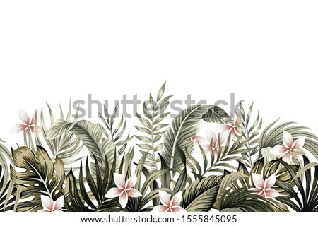 Tropical vintage botanical palm leaves, banana leaves, plant floral, plumeria flower seamless border white background. Exotic green jungle wallpaper.