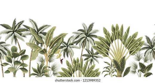 Tropical Vintage Botanical Palm Trees, Banana Tree Floral Seamless Border White Background. Exotic Jungle Wallpaper.