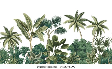 Tropical vintage botanical palm trees, banana tree, green plants floral seamless border white background. Exotic jungle wallpaper.