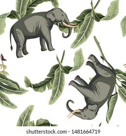 Tropical vintage elephant animal, banana leaves floral seamless pattern white  background. Exotic jungle wallpaper.