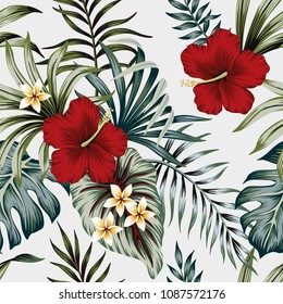 Tropical vintage hibiscus plumeria floral green leaves seamless pattern white background. Exotic wallpaper