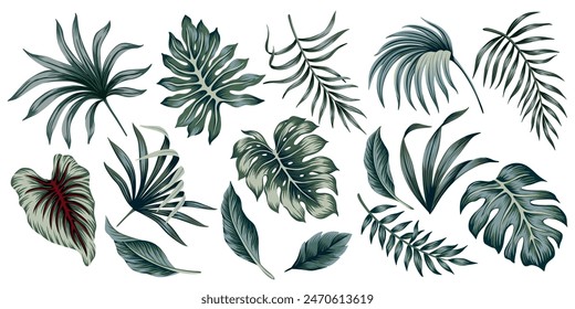 Tropical vintage palm leaves floral clip art. Exotic botanical set.