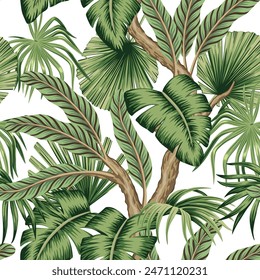 Tropical vintage palm leaves, tree floral seamless pattern white background. Exotic jungle wallpaper.