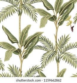 Tropical vintage palm trees, banana tree floral seamless pattern white background. Exotic botanical jungle wallpaper.
