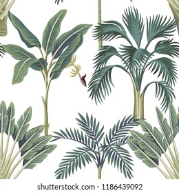 Tropical vintage palm trees, banana tree floral seamless pattern white background. Exotic botanical jungle wallpaper.
