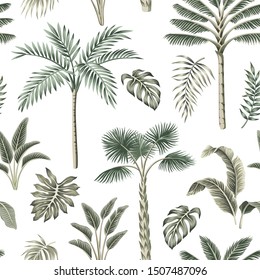 Tropical vintage palm trees, banana tree, palm leaves floral seamless pattern white background. Exotic jungle wallpaper.