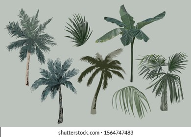 Tropical vintage palm trees set. Vector Illustration. Isolated image