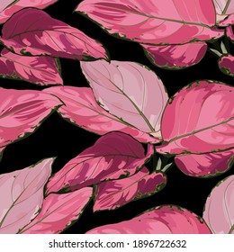 Tropical vintage red Aglaonema modestum Schott palant with leaves floral seamless pattern on black background. Exotic jungle wallpaper.