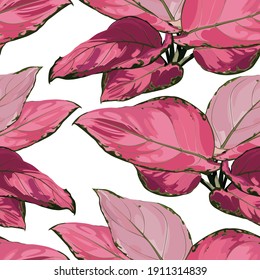 Tropical vintage red Aglaonema modestum Schott palant with leaves floral seamless pattern on white background. Exotic jungle wallpaper.