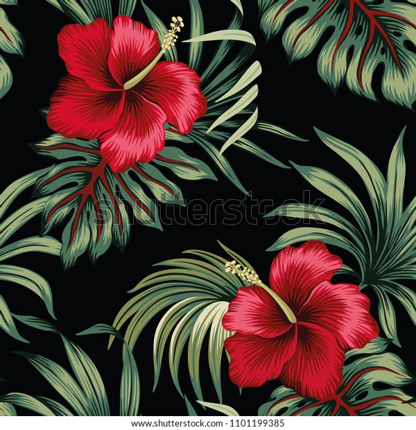 シームレスな柄の黒い背景に熱帯のビンテージ赤いハイビスカス花柄の緑