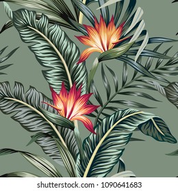 Tropical vintage strelitzia floral palm leaves seamless pattern green background. Exotic jungle wallpaper.