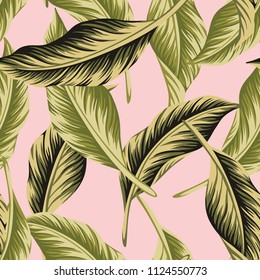 Tropical vintage vector green palm leaves floral pink background seamless pattern. Exotic jungle wallpaper.