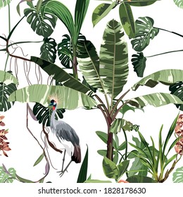 Tropical vintage wild crane birds pattern, palm tree, palm leaves and plant floral seamless border white background. Exotic jungle wallpaper.	