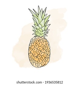 Tropical watercolor digital pineapple. Illustration of isolated on a white background