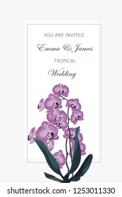 Tropical wedding invitation. Greeting card template design, exotic violet orchid flowers on pink background.
