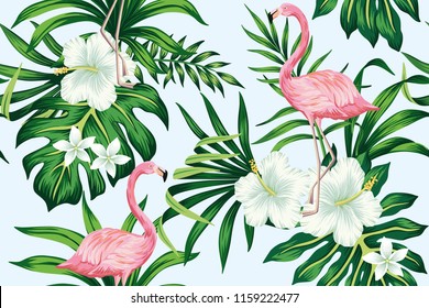 Tropical white hibiscus plumeria floral green leaves seamless pattern pink flamingo blue background. Exotic jungle wallpaper.