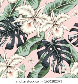 Tropical white orchid flowers, green monstera, banana palm leaves, pink background. Vector seamless pattern. Jungle foliage illustration. Exotic plants. Summer beach floral design. Paradise nature