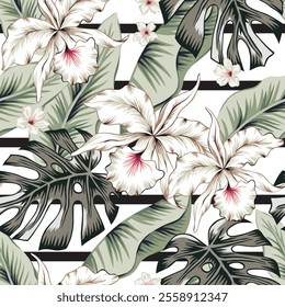 Tropical white orchid flowers, green monstera, banana palm leaves, striped background. Vector seamless pattern. Jungle foliage illustration. Exotic plants. Summer beach floral design. Paradise nature