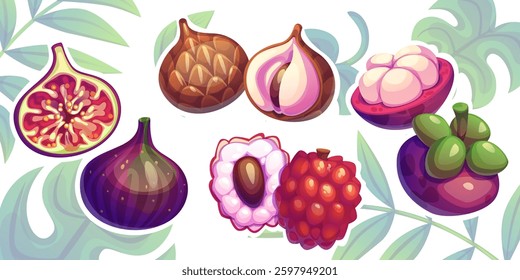 Tropical whole and cut fruit set with fresh mangosteen, purple fig, sweet lychee, ripe salak snake fruit on green plant leaves background. Cartoon vector bright exotic organic food illustration.