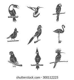 Tropical wild bird black silhouettes icons set isolated vector illustration