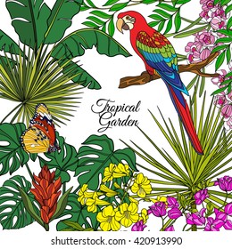 Tropical wild birds and flowers and space for text. Colored vector illustration. 