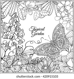 Tropical wild birds and flowers and space for text. Coloring book for adult and older children. Coloring page. Outline vector illustration. 