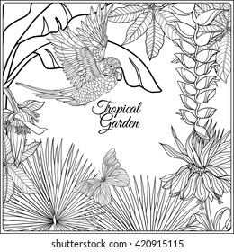 Tropical wild birds and flowers and space for text. Coloring book for adult and older children. Coloring page. Outline vector illustration. 