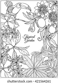 Tropical wild birds and flowers and space for text. Coloring book for adult and older children. Coloring page. Outline vector illustration.