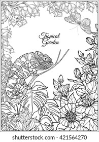 Tropical wild birds and flowers and space for text. Coloring book for adult and older children. Coloring page. Outline vector illustration.