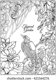 Tropical wild birds and flowers and space for text. Coloring book for adult and older children. Coloring page. Outline vector illustration.