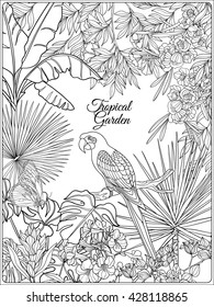 Tropical wild birds and flowers and space for text. Coloring book for adult and older children. Coloring page. Outline vector illustration.