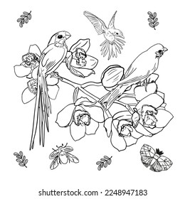 Tropical wild birds and plants. Tropical garden collection. Colouring page. Colouring book for adult and older children. Outline vector. T-shirt print.Black White