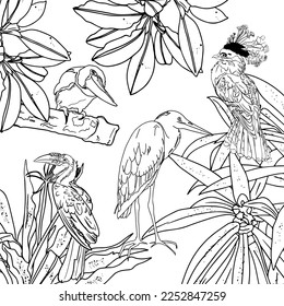 Tropical wild birds and plants. Tropical garden collection. Coloring page. Coloring book for adult and older children. Outline vector illustration.