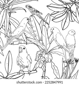 Tropical wild birds and plants. Tropical garden collection. Coloring page. Coloring book for adult and older children. Outline vector illustration. Parrot. 