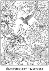 Tropical wild birds and plants. Tropical garden collection. Coloring page. Coloring book for adult and older children.  Outline vector 