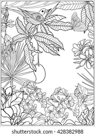 Tropical wild birds and plants. Tropical garden collection. Coloring page. Coloring book for adult and older children. Outline vector