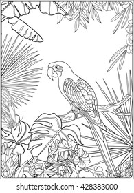 Tropical wild birds and plants. Tropical garden collection. Coloring page. Coloring book for adult and older children. Outline vector