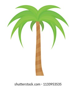 
A tropical windmill palm tree flat icon design 
